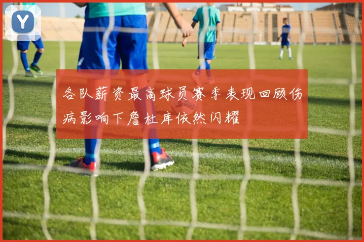 各队薪资最高球员赛季表现回顾伤病影响下詹杜库依然闪耀